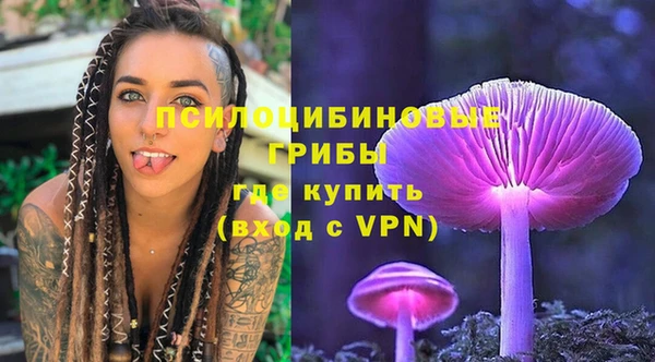 индика Нефтекумск