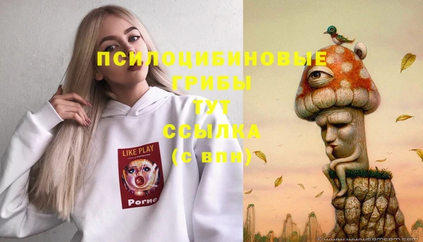 гидра Аркадак