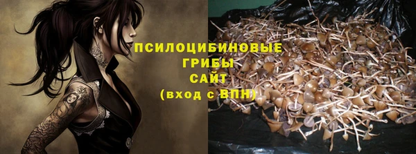 гидропоника Надым
