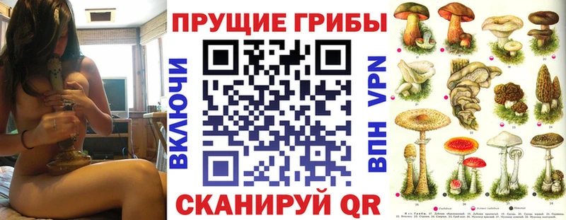 Псилоцибиновые грибы Magic Shrooms  Менделеевск 